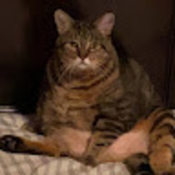 bigabubbasimba